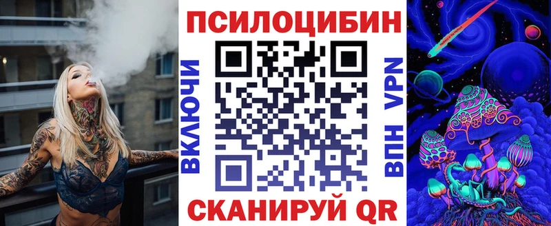 Псилоцибиновые грибы Psilocybe  mega ССЫЛКА  Чебоксары  купить наркотики сайты 